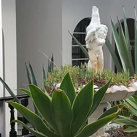 Casita Blanca Apartment